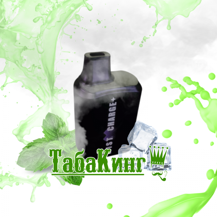 Электронная сигарета Mist X Charge+ Ледяная Мята (4000 затяжек)