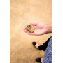 Зажигалка Vintage Box Top ZIPPO 49075