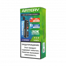 ARTERY CL6 30000 Flavor+Ice Черника, мята