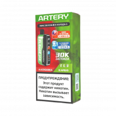 ARTERY CL6 30000 Flavor+Ice Клубника, арбуз