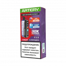 ARTERY CL6 30000 Flavor+Ice Вишня, смородина