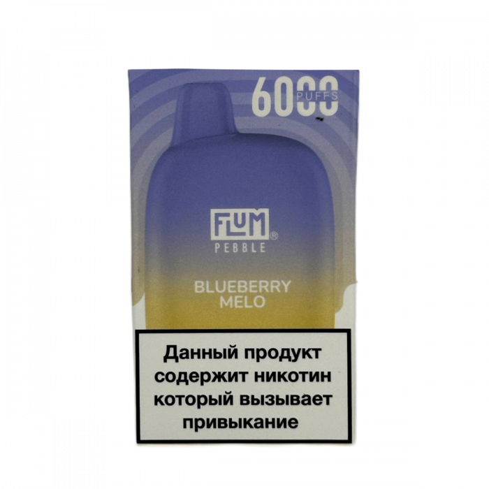 FLUM Pebble 6000 Черника, дыня