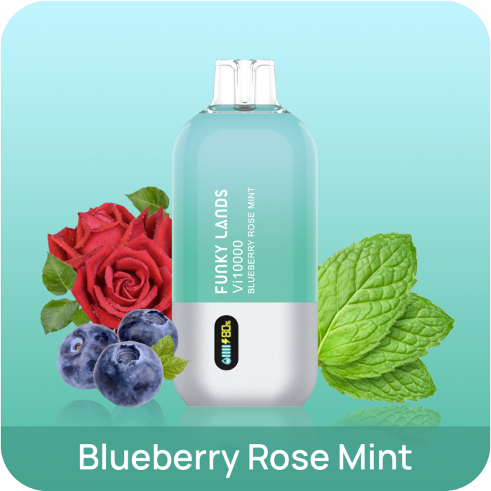 Funky Lands Vi 10000 Черника-Роза-Мята