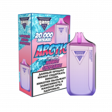 GANG ARCTIC 20000 Малина, смородина