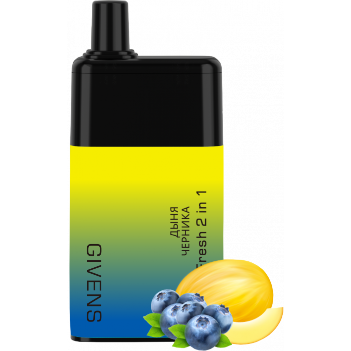 GIVENS 2в1 5000 Дыня + Черника