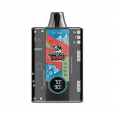 HUSKY CYBER PRO 12000 Ментол мята гранат лёд