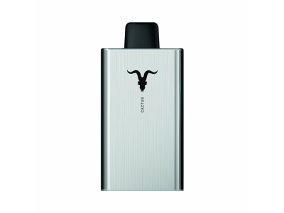 Новинка! Электронные сигареты IGNITE V80!