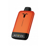 IGNITE V160 ORANGE (16000 затяжек)