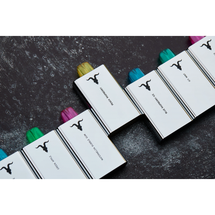 IGNITE V50 Черника Ice