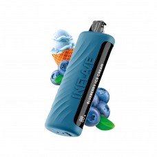 INFLAVE OMEGA Черничное мороженое