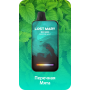Lost Mary BM16000 Перечная мята
