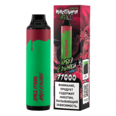 MONSTERVAPOR SPACE Арбуз с дыней 11000
