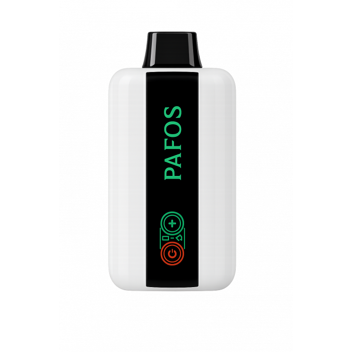 PAFOS 20000 HARD EXTRA Голубика, облепиха, клюква