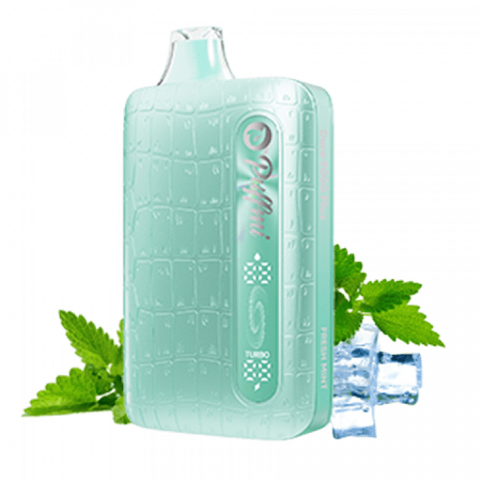 PUFFMI DURA PLUS 9000 Свежая Мята