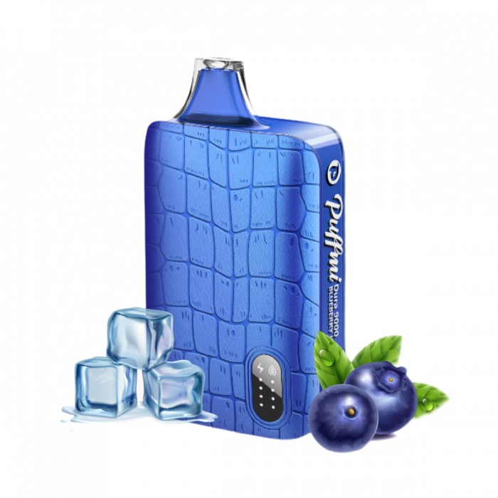 PUFFMI DURA V2 9000 Черника, лед