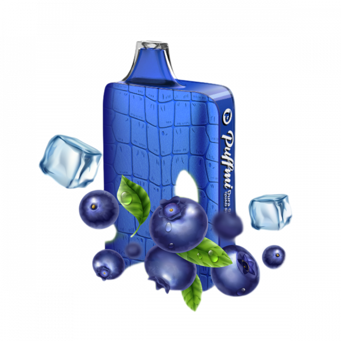 PUFFMI DURA V2 9000 Лесные ягоды, лед