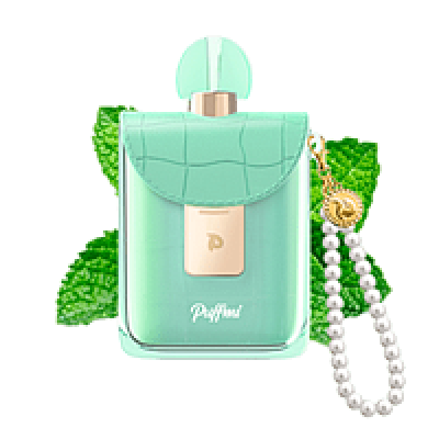 PUFFMI FLORA 25000 Мятный ментос