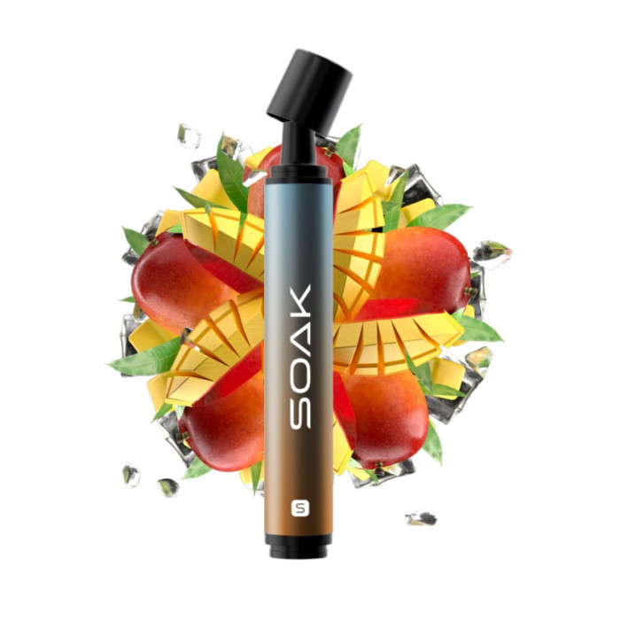 SOAK S 2500 Ледяное Манго