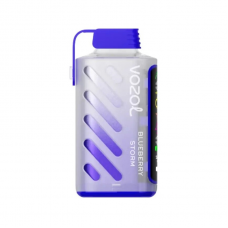 VОZOL GEAR POWER 20000 Черничный Шторм