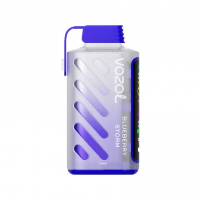 VОZOL GEAR POWER 20000 Черничный Шторм