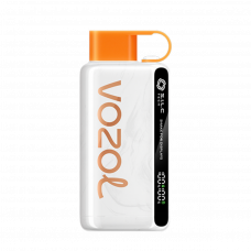 VOZOL STAR 10000 Мексиканское манго