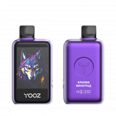 YOOZ LINKX 25000 Smart Энергетик